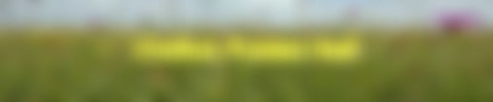 Chilton Polden Hall Cio | Charici