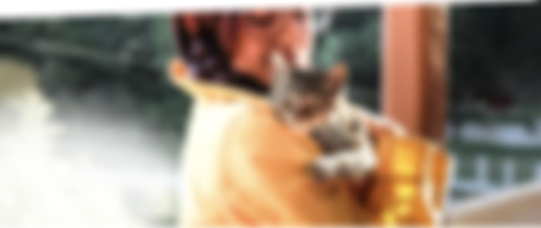 Banbury Animal Rescue And Kindness Service | Charici