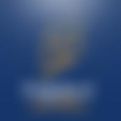 Cutty Sark 2Sail Foundation | Charici