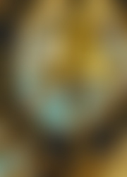 The Rotary Club Of Salisbury Charitable Fund | Charici