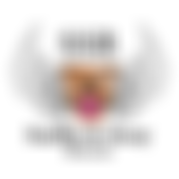 Staffie And Stray Rescue | Charici