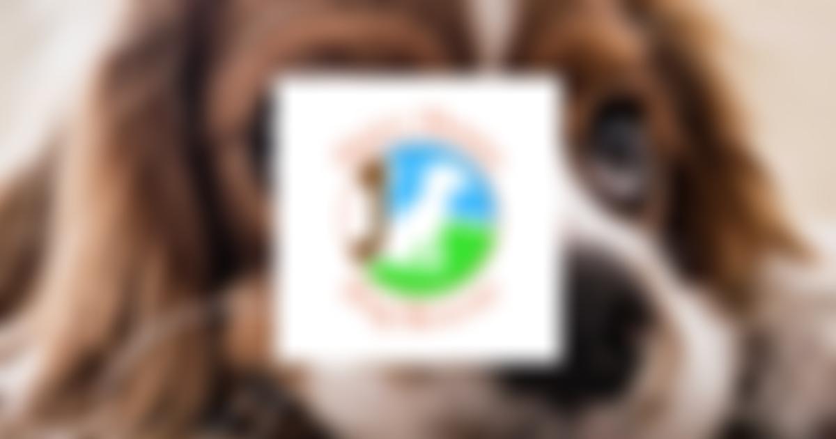 Hairy Hounz | Charici