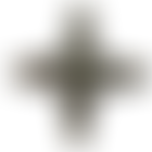 Sisters Of Our Lady Of The Missions Cio | Charici