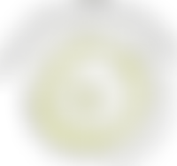 Brain Circle UK | Charici