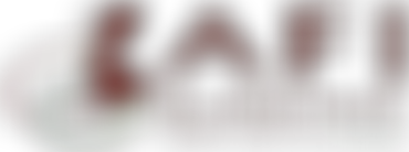 Lasting Action For Inclusion In Burkina Faso | Charici