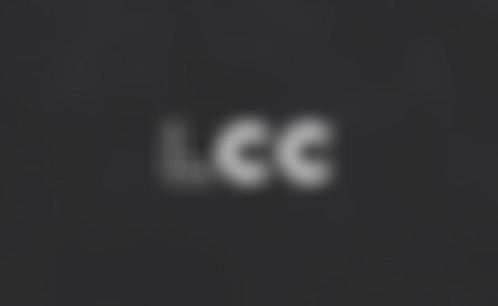 The Leather Conservation Centre Limited | Charici