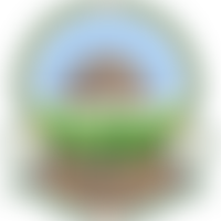 Shropshire Beekeepers Association | Charici