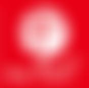 Hexham New Church | Charici