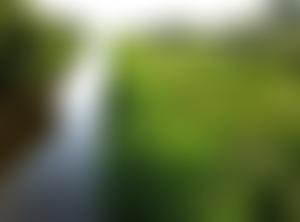 Pett Level Preservation Trust | Charici