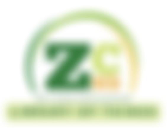 Zero Carbon North Somerset | Charici