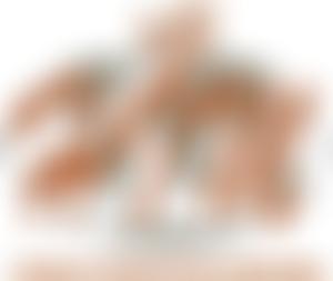 Harvest Chapel International UK | Charici