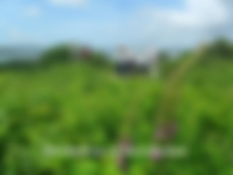 Bridport And District U3A | Charici