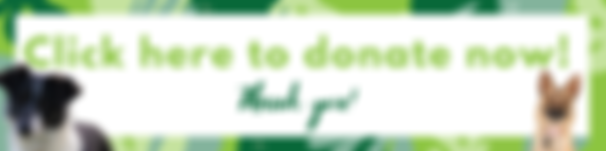 Oakwood Dog Rescue | Charici