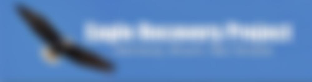 Eagle Recovery Project | Charici