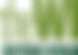 Wanstead Wi | Charici