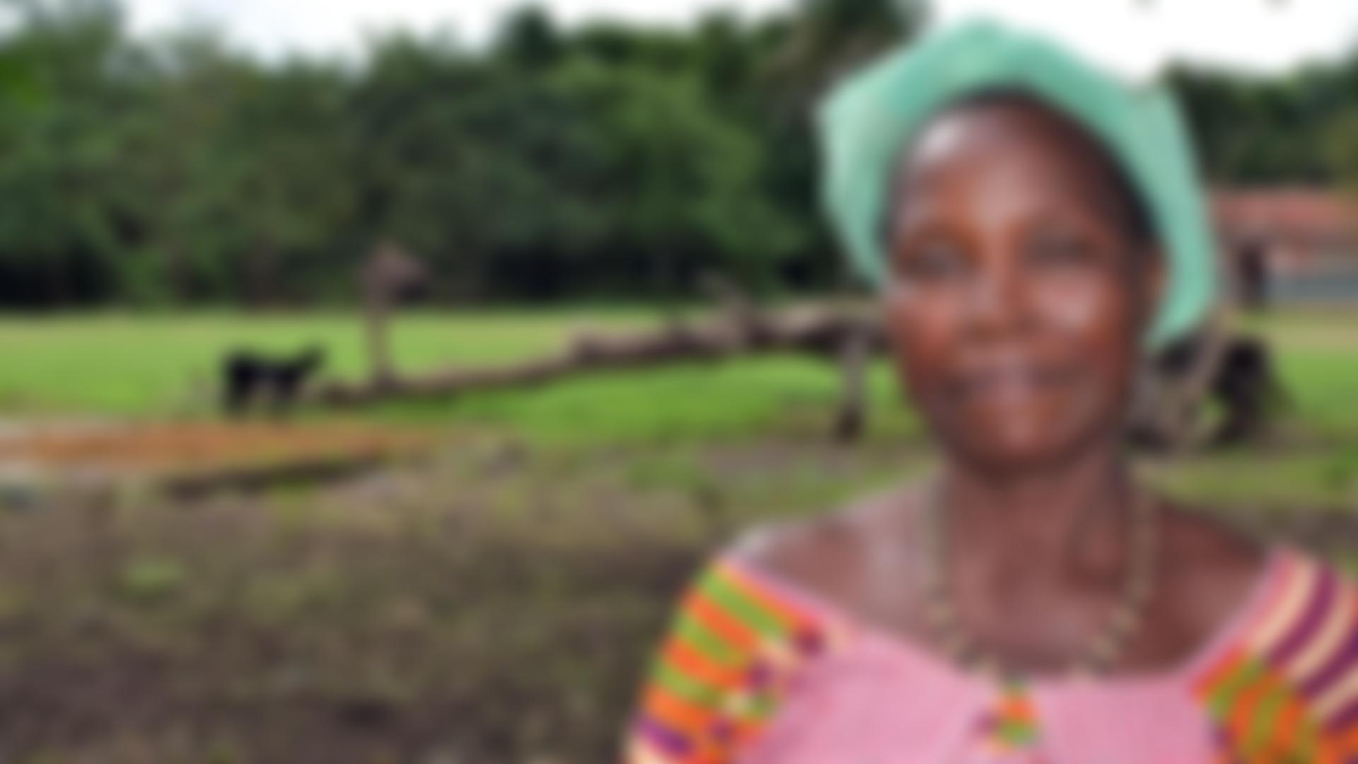 Feed The Minds | Charici