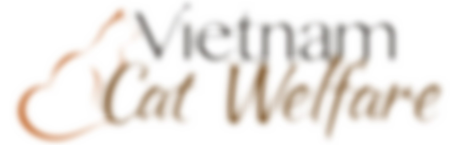 Vietnam Cat Welfare | Charici
