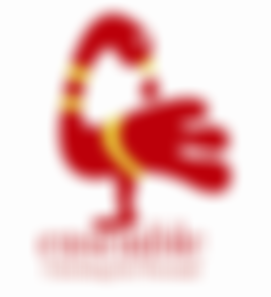 Ensemble Manchester | Charici