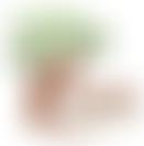 Hope For The Needy | Charici