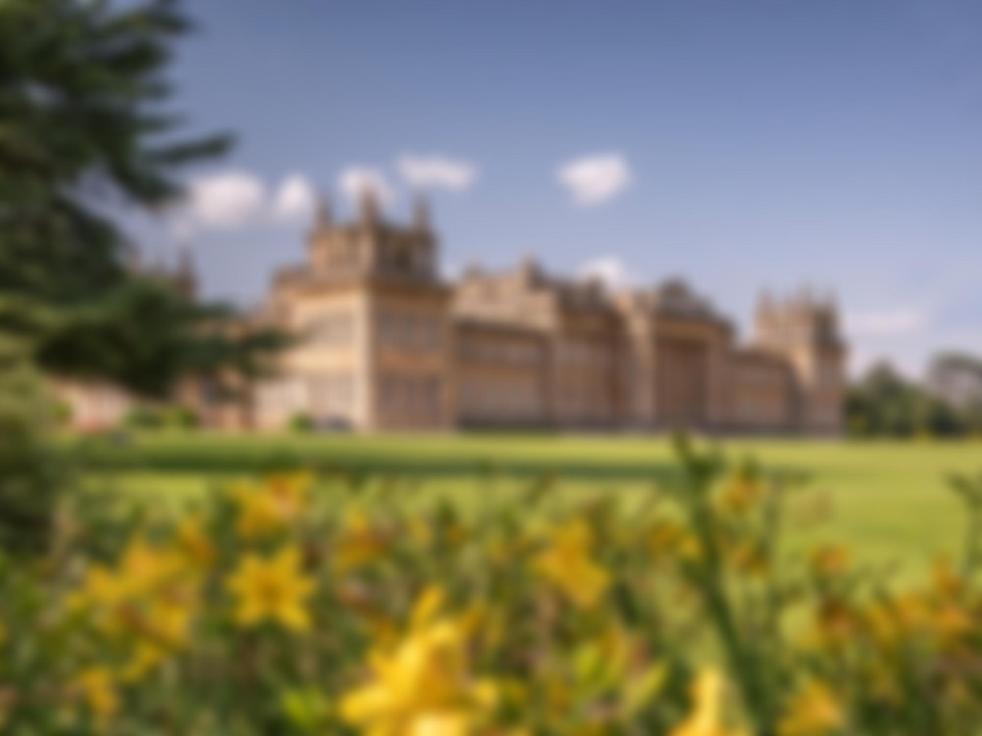 Blenheim Palace Heritage Foundation | Charici
