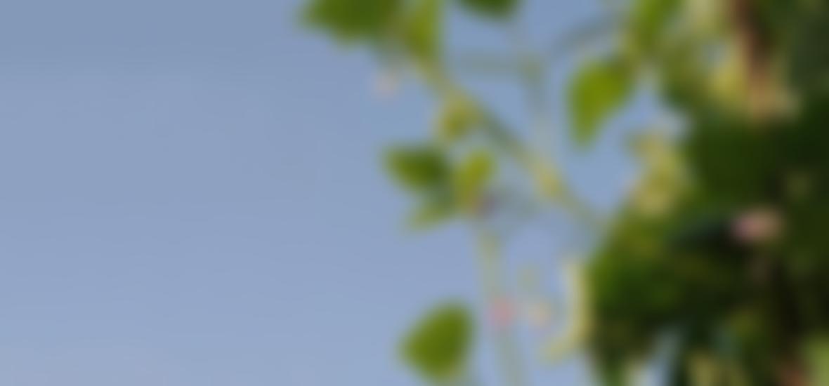 Transition Town Telford | Charici