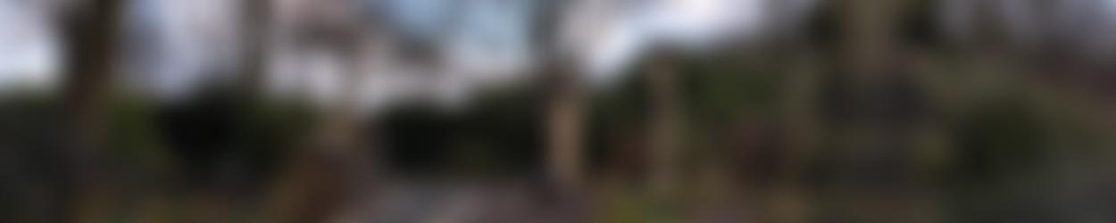 Friends Of Clarence Holmfield And Thornes (Chat) Parks | Charici