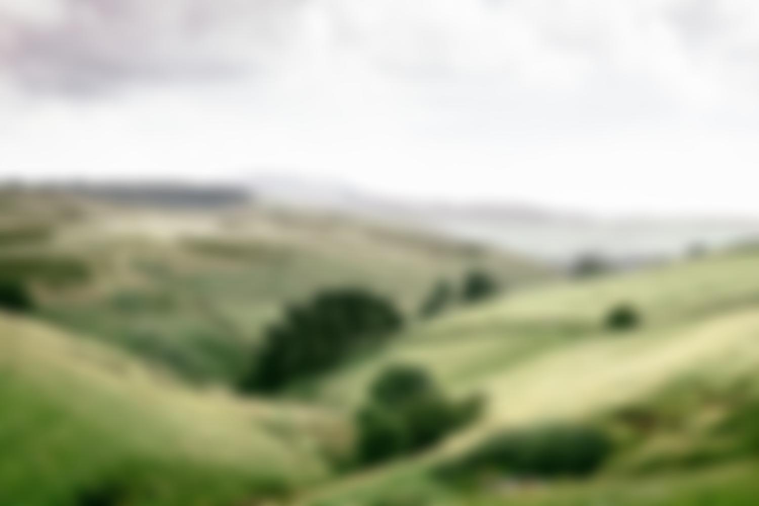 The Church In Manchester | Charici