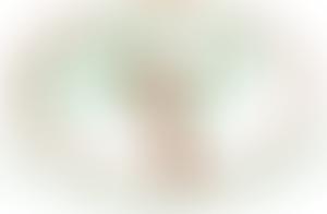 The Layberry Foundation | Charici