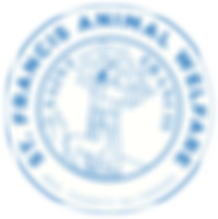 St Francis Animal Welfare | Charici