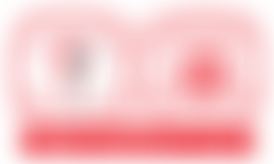 Second Chance Charity | Charici