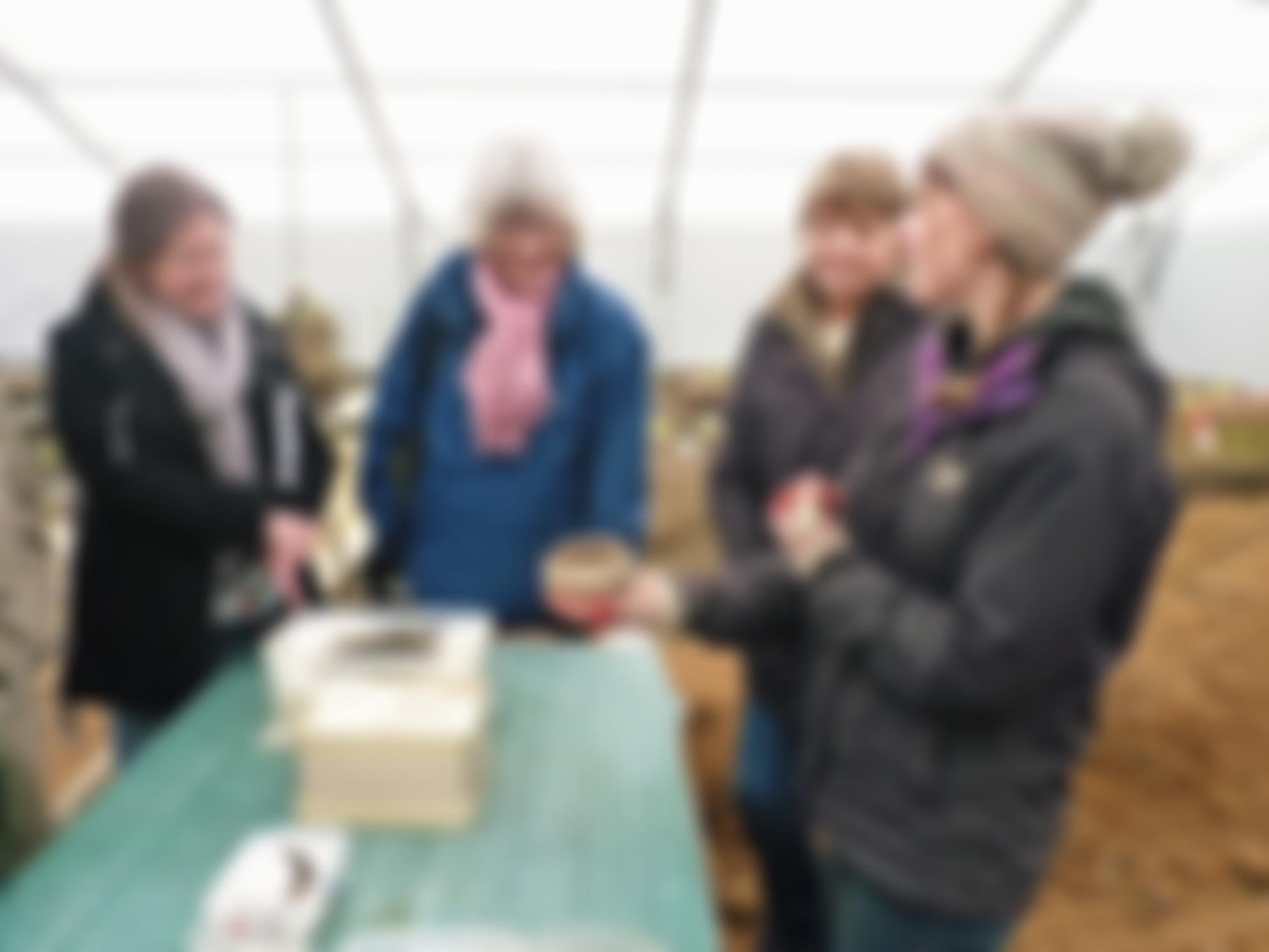 City Of London Archaeological Society | Charici