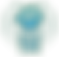 1 Dog At A Time Rescue UK | Charici