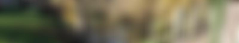 Weybridge Society | Charici