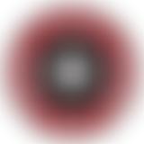 The Stephen Hughes Foundation | Charici