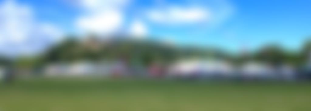 Dunster Show Society | Charici