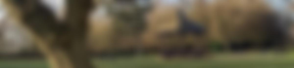 Friends Of Locke Park | Charici