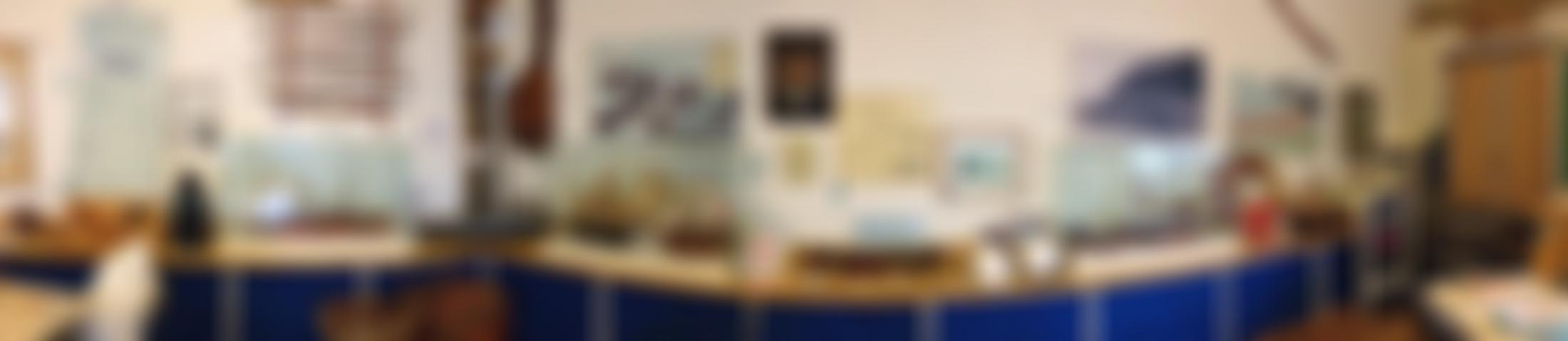 Combe Martin Museum | Charici