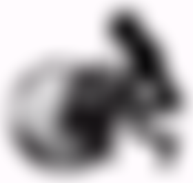 The Clarity Foundation | Charici