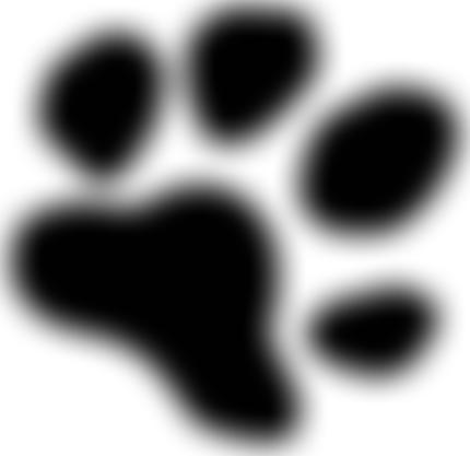 Saving Yorkshire's Dogs Rescue | Charici