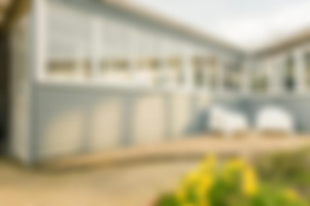 Cats In Distress | Charici