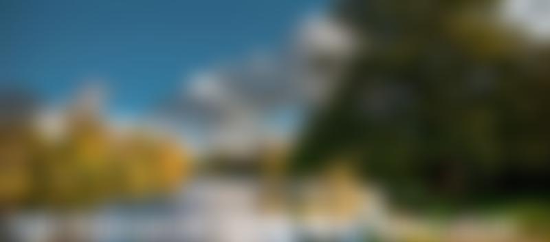 Friends Of Wanstead Parklands | Charici