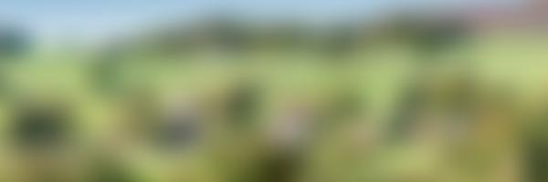 Slaidburn Archive | Charici