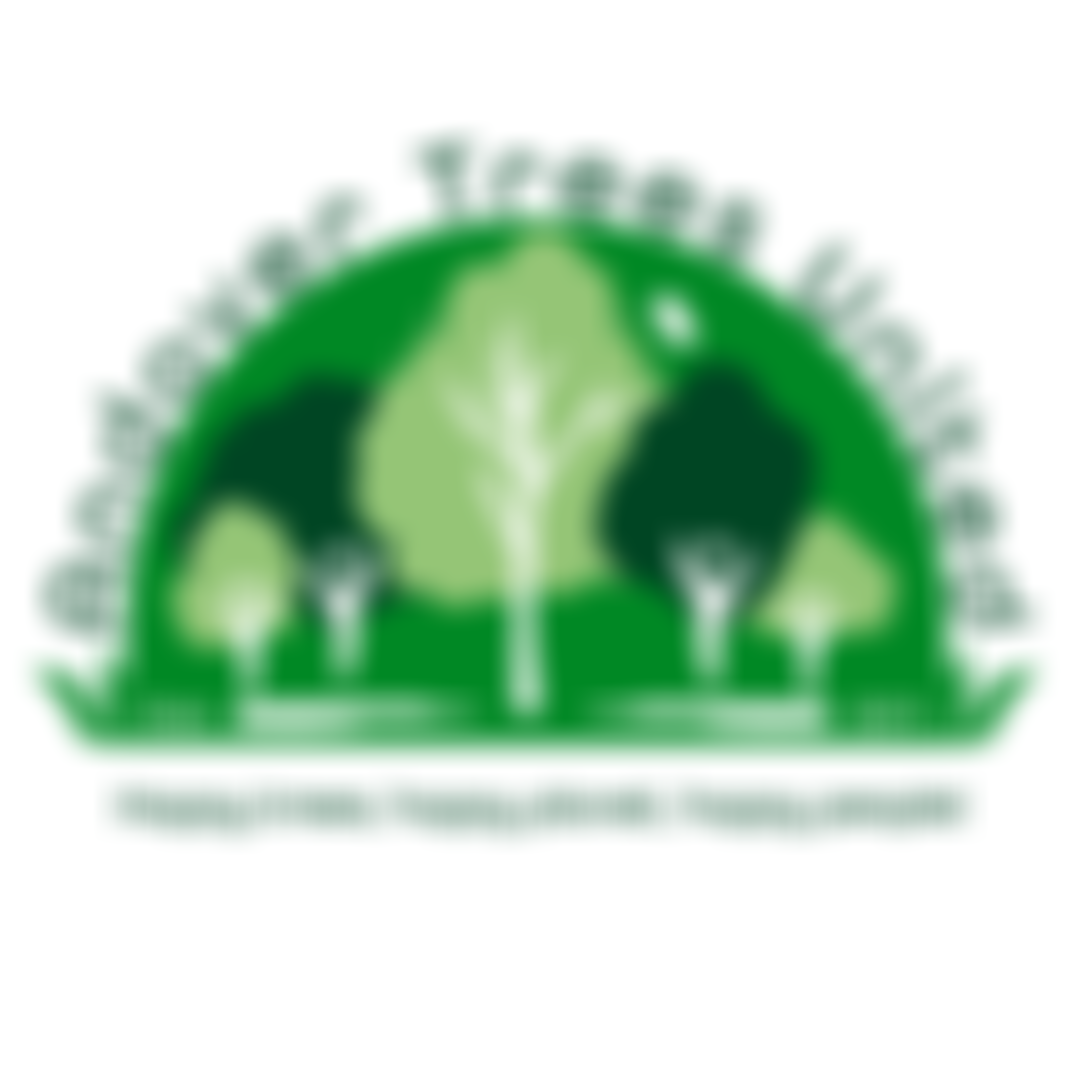 Andover Trees United | Charici