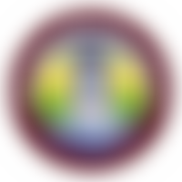 The Friends Of Leen Mills Primary School | Charici