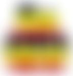 Forever Friends Of Uganda | Charici