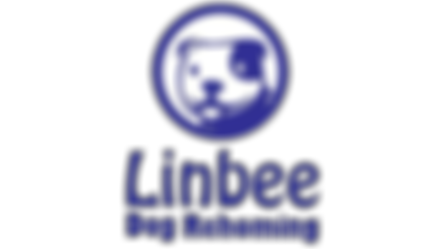 Linbee Dog Rehoming | Charici