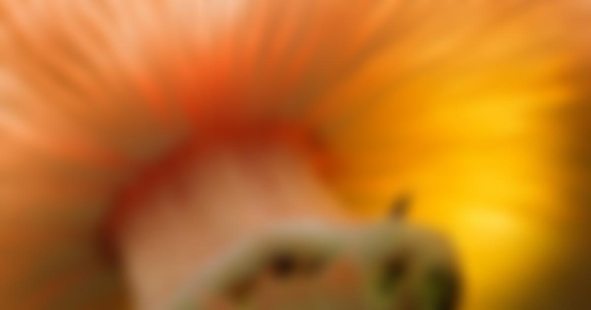 Tnc UK Foundation Limited | Charici