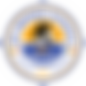 My Medina Schools | Charici