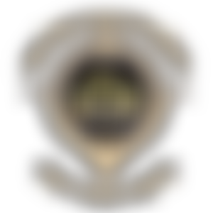 The Rabbi Meir Baal Haness - Ahavas Zion - Kollel Siebenburgen Trust | Charici