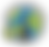 Inspire Community Garden | Charici